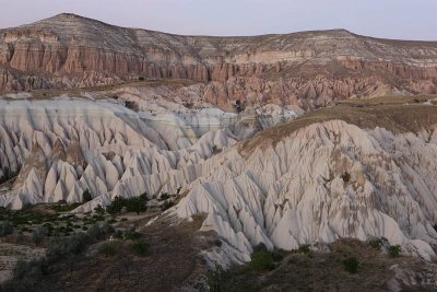 Rose Valley