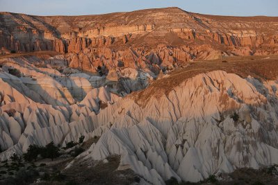Rose Valley