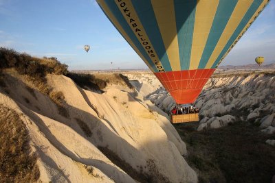 Over Rose Valley
