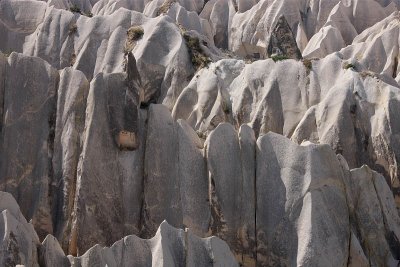 Rose Valley