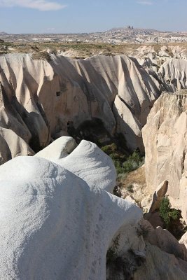 Rose Valley