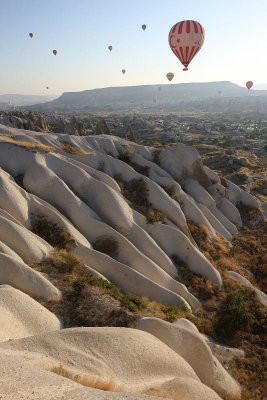 Early morning balloons