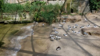 IMG_5230-114.jpg