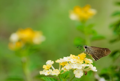 g3/59/884059/3/124571943.A59jVYfO.jpg