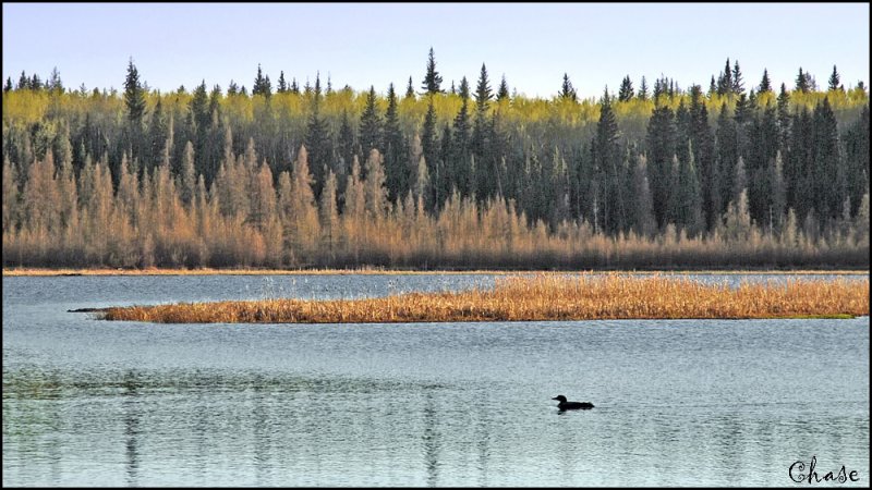 machesis lake