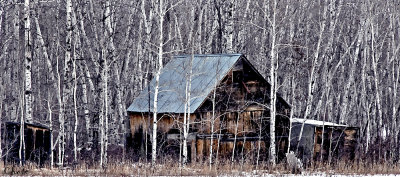 Shack in the Colorless Forest