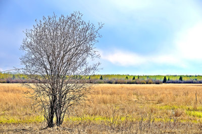 Two Lakes