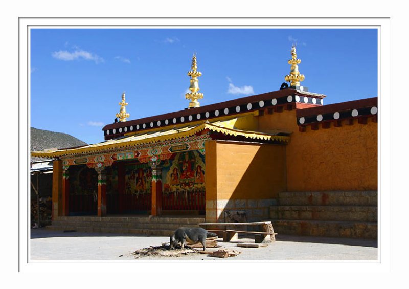 Songzanlin Monastery  9
