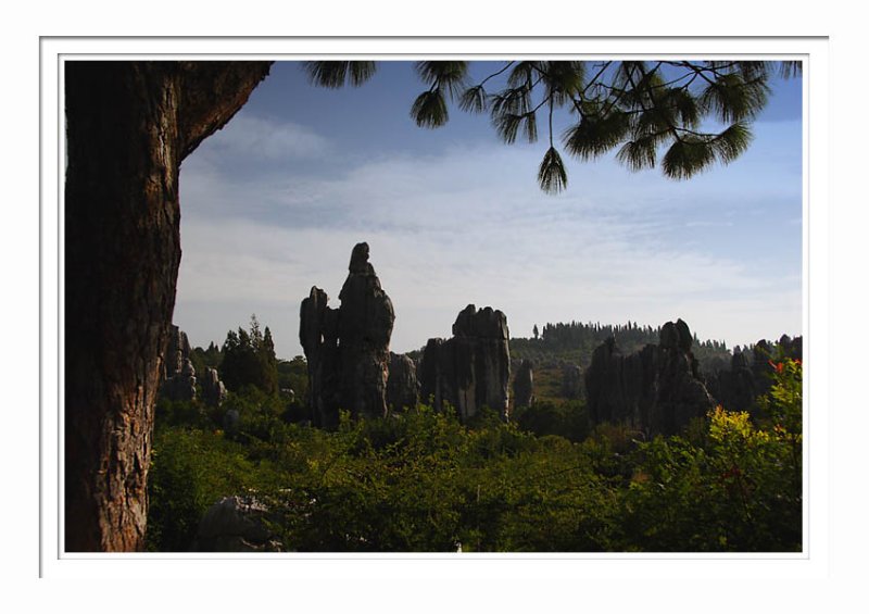 Shilin Stone Forest  8