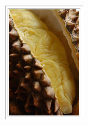 Monthong Durian 1