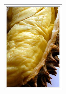 Monthong Durian 2