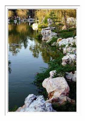 Chinese Garden Pond 5