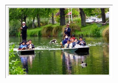 Punt On Avon River