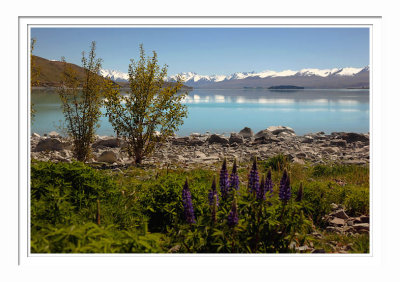 Lake Tekapo 3