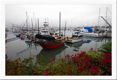Ventura Harbor View