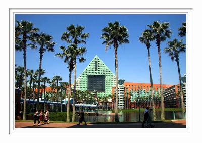 Dolphin And Palm Trees