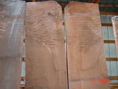 8/4 Black Walnut Planks 16-14 wide