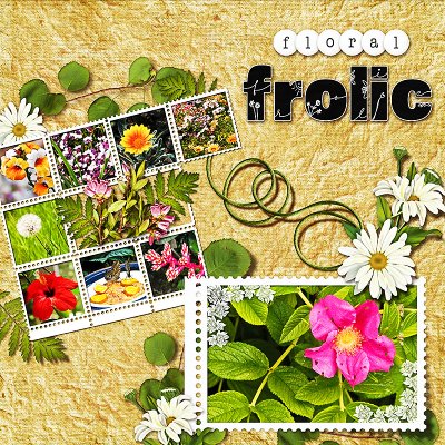 Floral Frolic