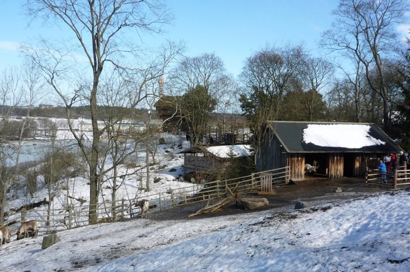 Skansen Open-Air Museum 露天博物館