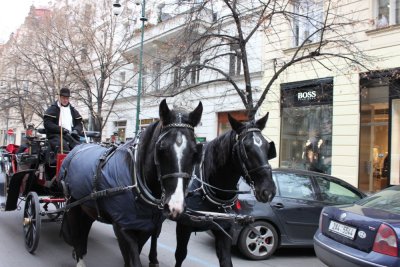 Horse-drawn carriage 馬車在街上