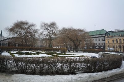 Palace Garden 皇家公園