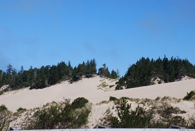 WE LOVED THE SAND DUNES ALONG THE COAST