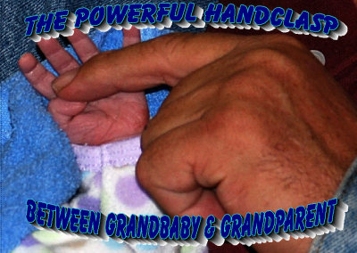 One of the most powerful handclasps it that of a new grandbaby around the finger of a grandparent.  Joy Hardgrove