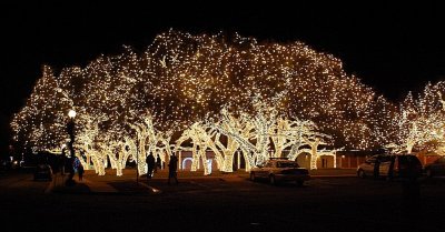A CHRISTMAS TRIP TO TEXAS WITHOUT VISITING THE FESTIVAL OF LIGHTS WOUD BE A REAL MISTAKE