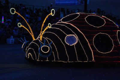 MOST OF THE FLOATS ARE LIGHTED