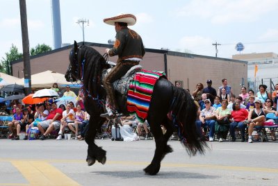 THE PEOPLE OF SOUTH TEXAS TAKE THEIR HORSES VERY SERIOUSLY........THIS ONE COULD DANCE
