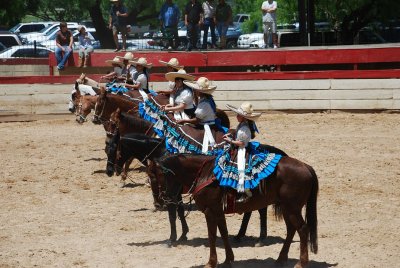 THESE YOUNG FEMALE RIDERS PERFORMED PRECISION MANEUVERS TO THE JOY OF THE CROWD