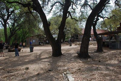 THE GROUNDS OF LUCKENBACH ARE COVERED WITH HUGE LIVE OAKS