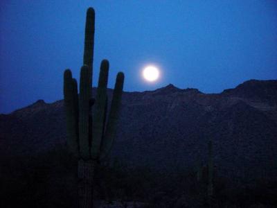 FULL MOON WALK IN THE USARY DESERT PARK