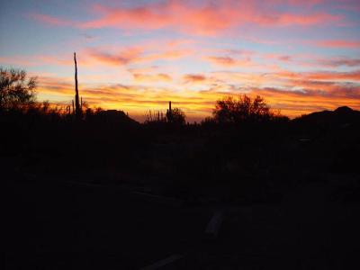 NIGHT IN THE DESERT