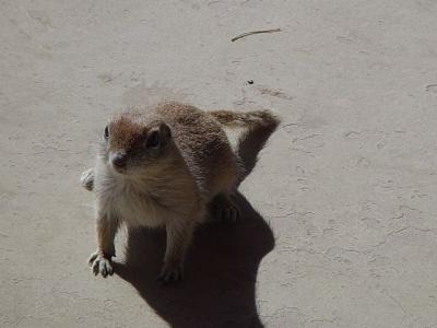HE WANTS A HANDOUT
