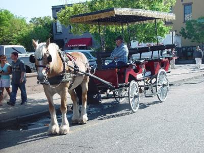 THE CARRIAGE RIDES WERE EVERYWHERE
