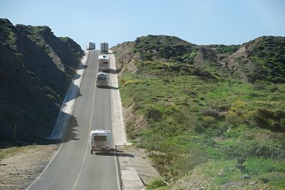 WHAT A SIGHT FROM THE MIDDLE OF THE CARAVAN AND THE DESERT IN BLOOM
