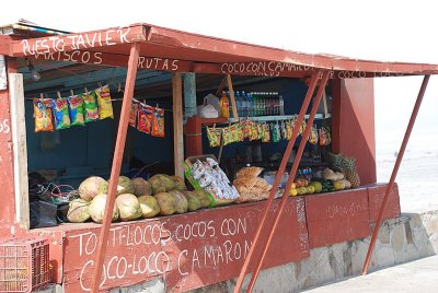 ONE OF THE FIRST FOOD STANDS WE SAW ON THE BAJA-IT WAS ON THE BEACH