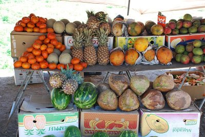 THERE ARE FRUIT STANDS EVERY WHERE ON THE BAJA AND IT IS SO FRESH