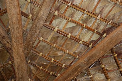 THIS IS A PICTURE OF THE ROOF OF THE PALAPAS-THEY ARE MADE OF DRIED PALM LEAVES