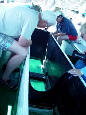 EVERYONE ENJOYED OBSERVING THE MYRIAD OF TROPICAL FISH ON THE REEFS AT THE ARCHES