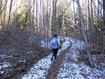 Preston Trail