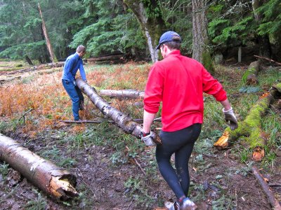 Moving logs