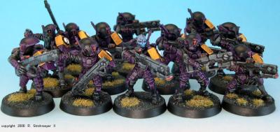 TAU_Firewarrior_Gold_1.jpg