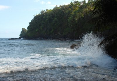 DSC_0086.JPG