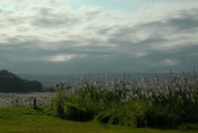 DSC_0102.JPG