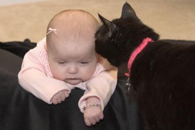 Alayna & Midnight