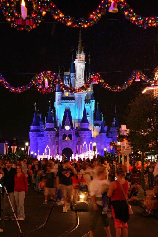 Cinderallas Castle (Magic Kingdom)