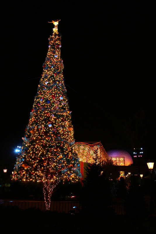 Christmas Tree at EPCOT