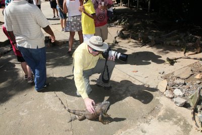 Iguana Farm - Roatan, Honduras